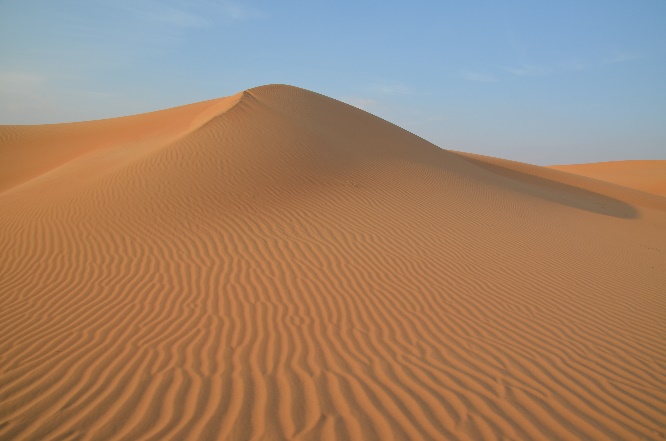 librairie-hirondaine-Firminy-786-Désert