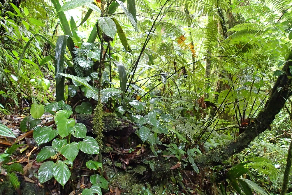 librairie-hirondaine-Firminy-793-printemps-poètes-2023-poème 42