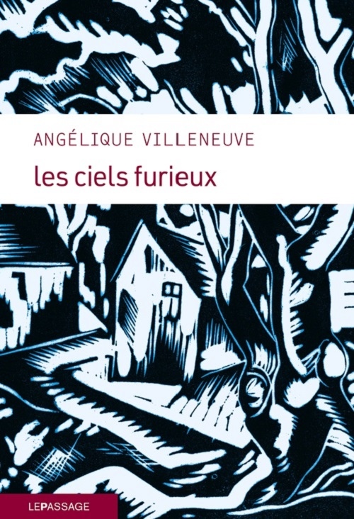 Librairie-lL'Hirondaine-Firminy- roman-les ciels furieux-