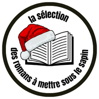 selection des romans de noel catalogue de noel livres